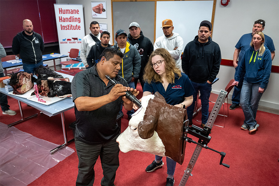 humane handling demo